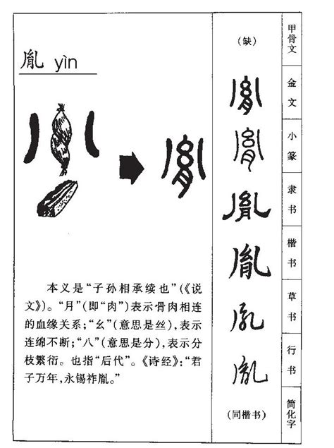 65 数字 胤五行